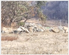  2025Ÿ��10037 ��� �ȵ��� ǳ���� �󸮸� ��39-2      ����(�Ӿ�)���