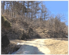  2025Ÿ10068  ֽ   45      (Ӿ)