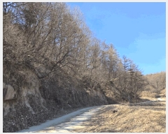  2025Ÿ10068  ֽ   45      (Ӿ)