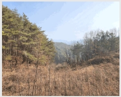  2025Ÿ10068  ֽ   45      (Ӿ)