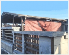  2025Ÿ10082  ֽ ﵿ 1922       ܵ,ð