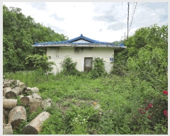  2025Ÿ��10365  ���ð��