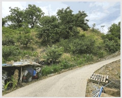  2025Ÿ��10365  ���ð��