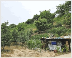  2025Ÿ��10365  ���ð��