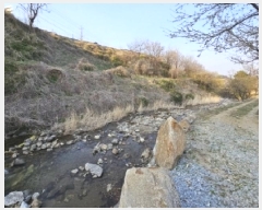  2025Ÿ��10365  ���ð��