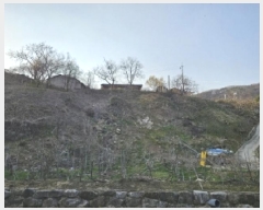  2025Ÿ��10365  ���ð��