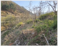  2025Ÿ��10365  ���ð��