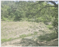  2025Ÿ��10402  �����