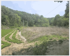  2025Ÿ��10402  �����