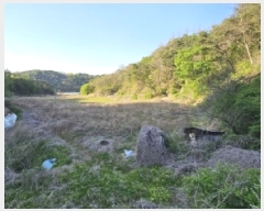  2025Ÿ��10402  �����