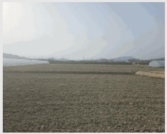  2025Ÿ��10433 ��� �ȵ��� ǳ���� �ϸ��� 314-2      ����(��)���