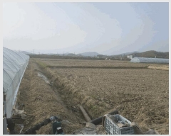  2025Ÿ��10433 ��� �ȵ��� ǳ���� �ϸ��� 314-2      ����(��)���