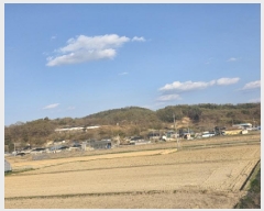  2025Ÿ��10433 ��� �ȵ��� ǳ���� �ϸ��� 314-2      ����(��)���