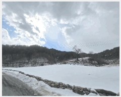  2025Ÿ100242  ȭ  긮 505      (Ӿ)