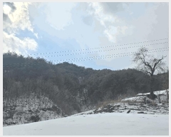  2025Ÿ100242  ȭ  긮 505      (Ӿ)