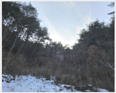  2025Ÿ100242  ȭ  긮 505      (Ӿ)