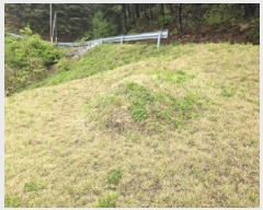  2025Ÿ100255  ȭ õ õ 740      (1)