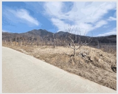  2025Ÿ100261  ֽ ǳ â 35      (1)