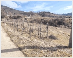  2025Ÿ100261  ֽ ǳ â 35      (1)