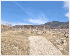  2025Ÿ100261  ֽ ǳ â 35      (1)