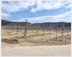  2025Ÿ100261  ֽ ǳ â 35      (1)