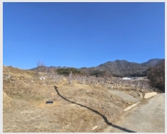  2025Ÿ100261  ֽ ǳ â 35      (1)