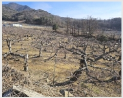  2025Ÿ100261  ֽ ǳ â 35      (1)