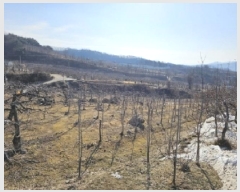  2025Ÿ100261  ֽ ǳ â 35      (1)