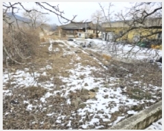  2025Ÿ��100270 ��� ��ȭ�� ���� ���ɸ� 762-4      ����(������)���