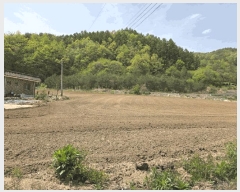  2025Ÿ��100276 ��� ��ȭ�� ��ȣ�� ��õ�� 381-16      ����(������)���