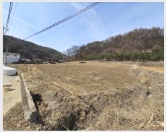  2025Ÿ��100276 ��� ��ȭ�� ��ȣ�� ��õ�� 381-16      ����(������)���