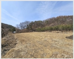  2025Ÿ��100276 ��� ��ȭ�� ��ȣ�� ��õ�� 381-16      ����(������)���