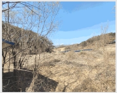  2025Ÿ100279  ֽ ̻  216      (1)