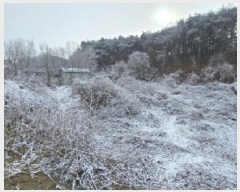  2025Ÿ100279  ֽ ̻  216      (1)