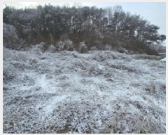  2025Ÿ100279  ֽ ̻  216      (1)