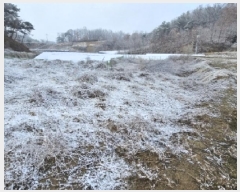  2025Ÿ100279  ֽ ̻  216      (1)