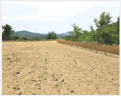  2025Ÿ��100300  �����