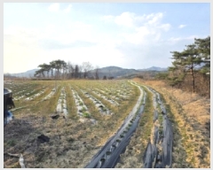  2025Ÿ��100300  �����