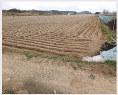  2025Ÿ��100305  �Ӿ߰��