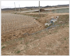  2025Ÿ��100305  �Ӿ߰��