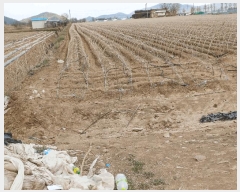  2025Ÿ��100305  �Ӿ߰��