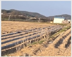  2025Ÿ��100305  �Ӿ߰��