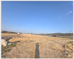  2025Ÿ��100305  �Ӿ߰��