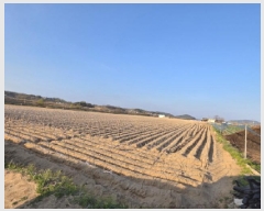  2025Ÿ��100305  �Ӿ߰��