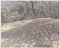  2025Ÿ��100307 ��� �ȵ��� ���ϸ� ��긮 ��305      ����(�Ӿ�)���