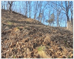  2025Ÿ��100307 ��� �ȵ��� ���ϸ� ��긮 ��305      ����(�Ӿ�)���