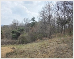  2025Ÿ��100307 ��� �ȵ��� ���ϸ� ��긮 ��305      ����(�Ӿ�)���