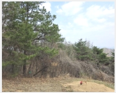  2025Ÿ��100307 ��� �ȵ��� ���ϸ� ��긮 ��305      ����(�Ӿ�)���