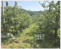  2025Ÿ��100313 ��� ���ֽ� ǳ���� ���θ� 332-7      ���ð��