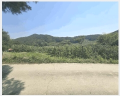  2025Ÿ��100313 ��� ���ֽ� ǳ���� ���θ� 332-7      ���ð��